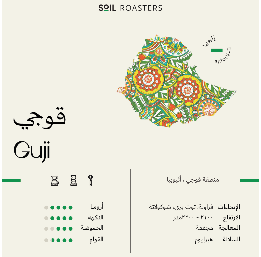 Ethiopia Guji - إثيوبيا قوجي