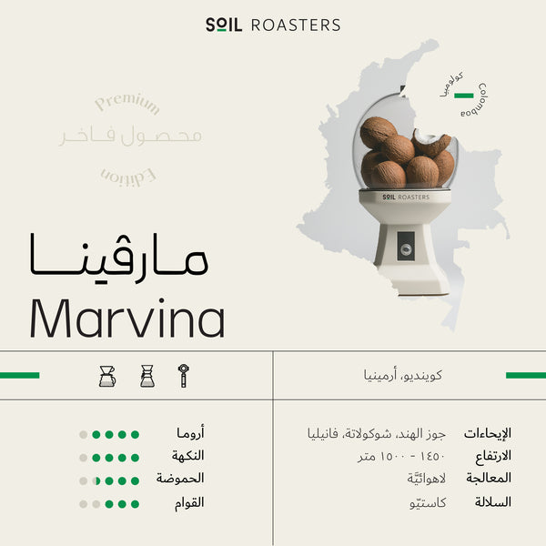 Marvina | مارفينا