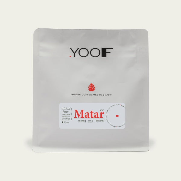 Yemen Matar - اليمن ماطر