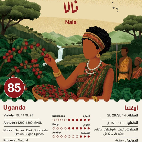 Jebla - Nala Uganada 250g - نالا اوغندا ( omni )
